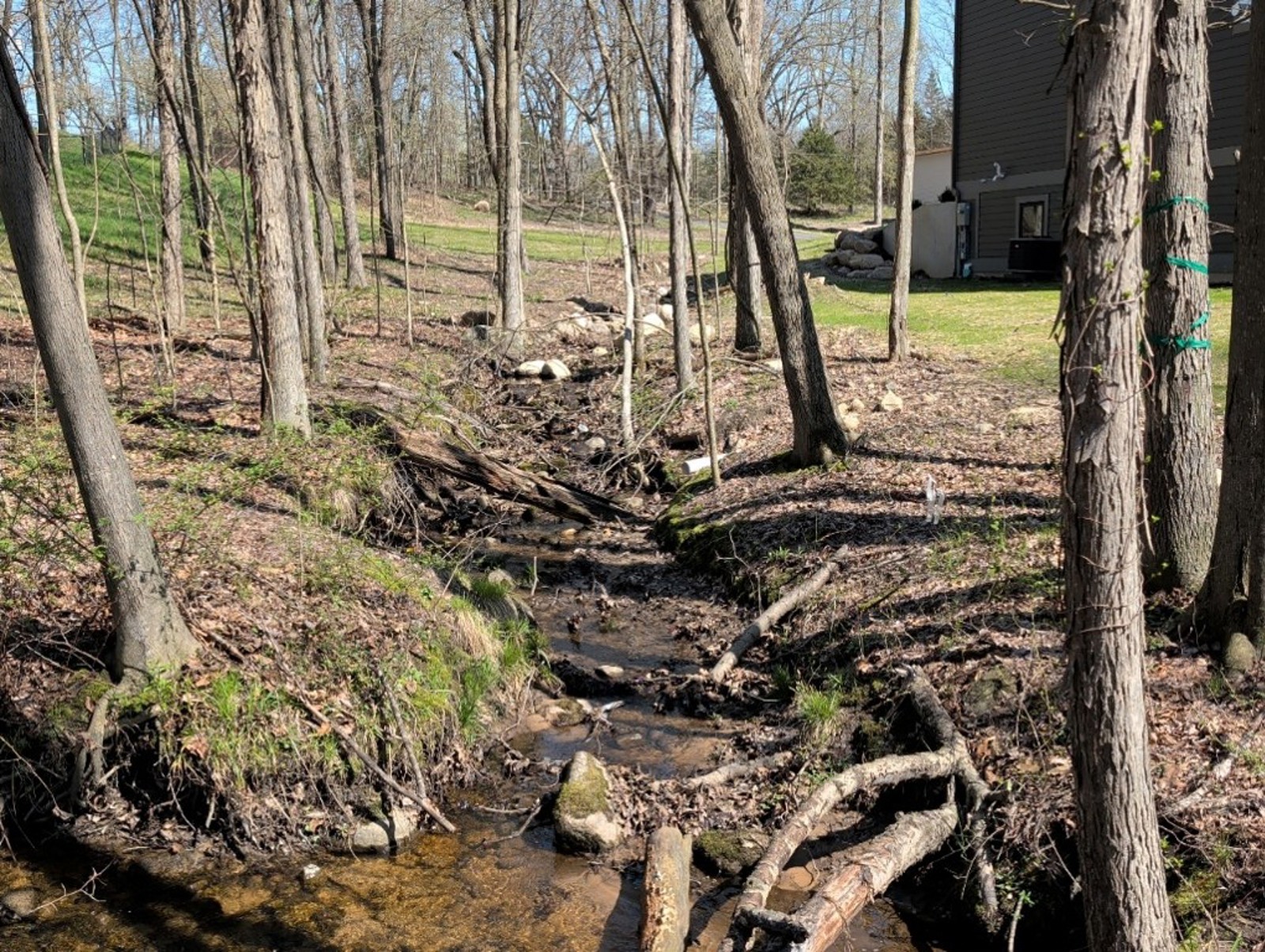 Concentrated yard drainage